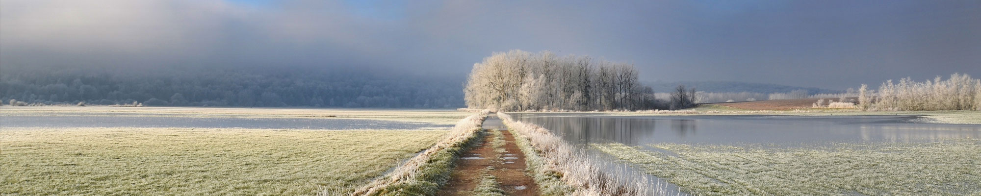 Cold